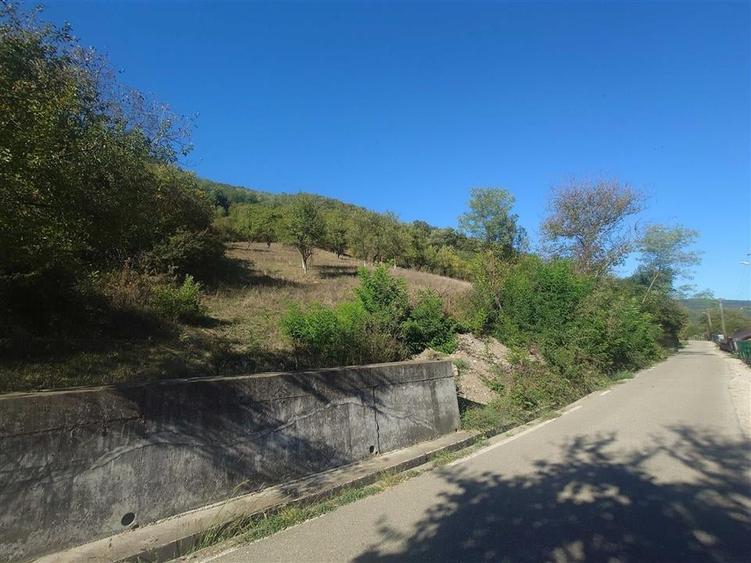 Teren Construcții extravilan de 14075 mp, în Crișcior
