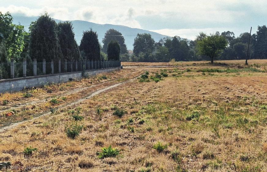 Teren de 5006 mp, în Pui
