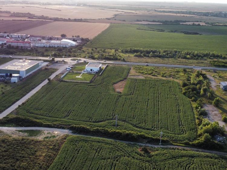 Teren Construcții intravilan de 4037 mp, în Giarmata