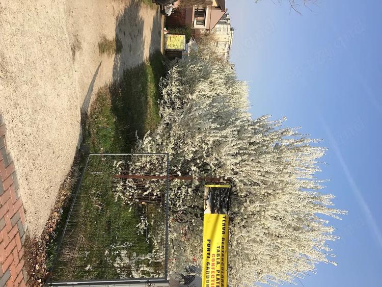 Teren de 550 mp, în Vitan