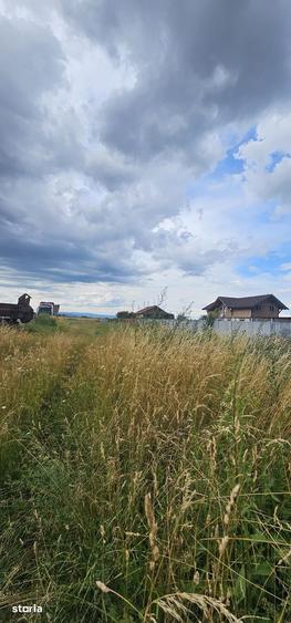 Teren de 1450 mp, în Tărlungeni