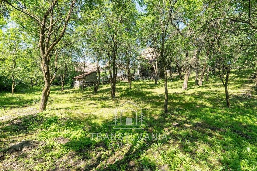 Casă cu Teren 1368 Mp în Livada (Petreștii de Jos)