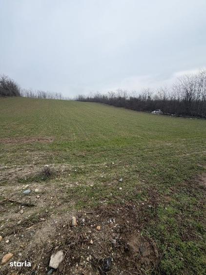 Teren de 6700 mp, în Central