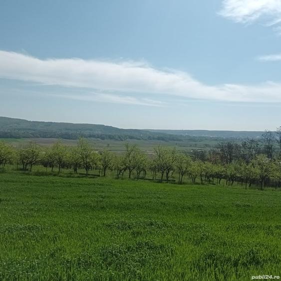 Teren în Micești