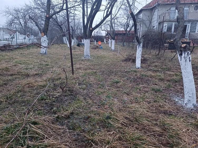 De vanzare direct de la proprietar Teren intravilan cu casa, in spatele cladirii VOX Torontal - 1