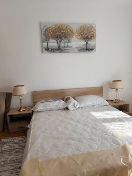 Apartament cu 2 camere decomandat în Chișinau