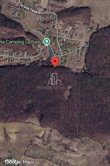 Teren Extravilan/Padure 90 000 Mp de Vanzare Zona Corunca/Acatari - 1