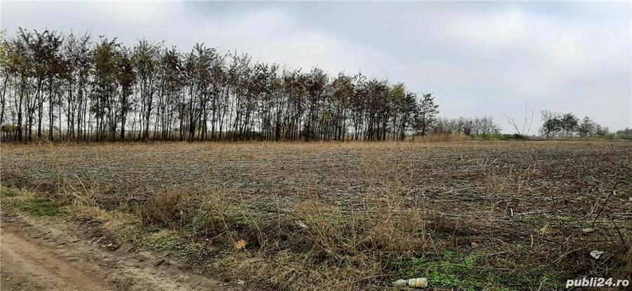 Teren de 1840 mp, în Gheorghe Lazăr