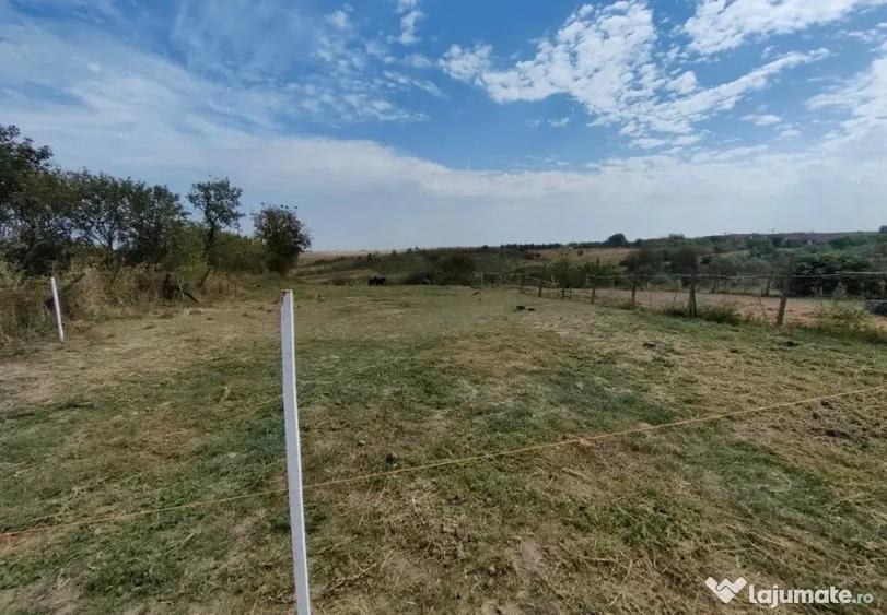 Casă cu 3 camere cu Teren 2448 Mp în Chesinț