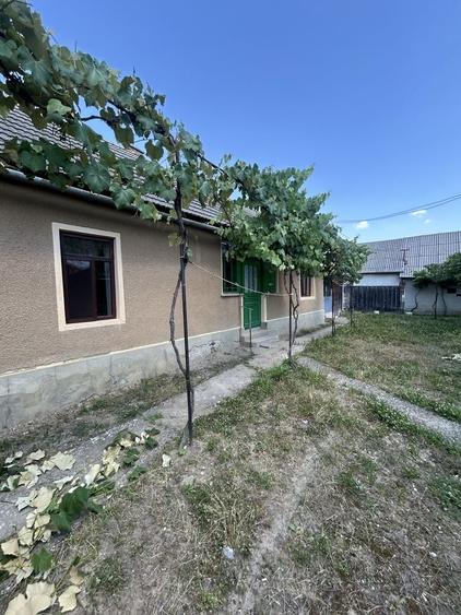 Casă cu 3 camere în Bozieș