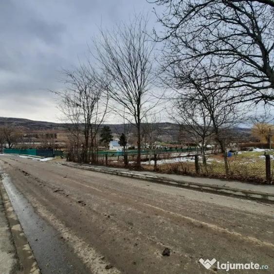Teren în Central