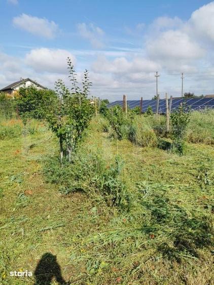 Teren intravilan de vanzare, 978 mp, zona Dudovicesti - 2