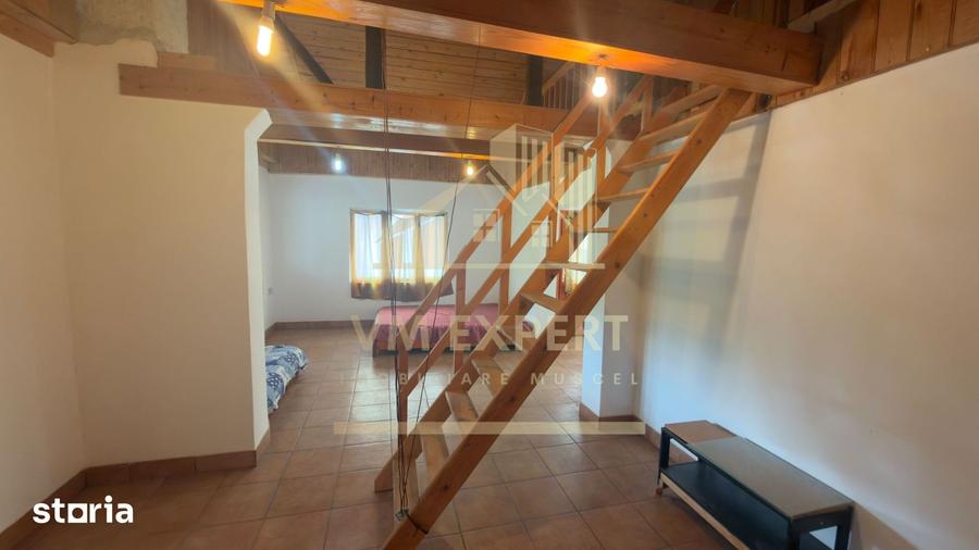 CASA 5 CAMERE TEREN 1138 MP BALILE?TI ARGES - 8