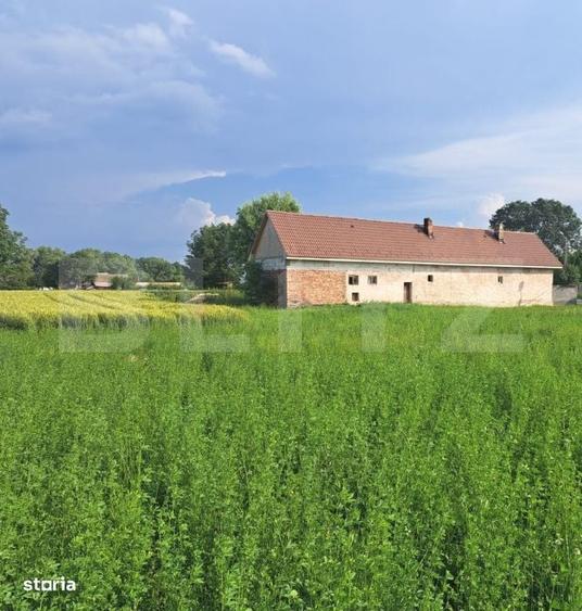 Casă cu 4 camere cu Teren 7020 Mp în Lunca Calnicului