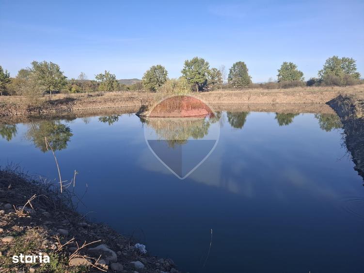 Teren de 51004 mp, în Săpânța