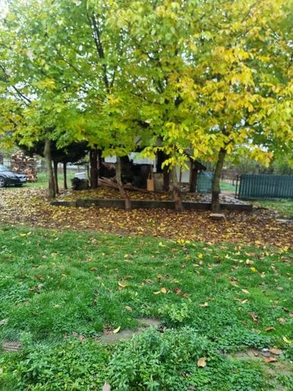 Casă individuală cu 8 camere cu Teren 1300 Mp în Marginea