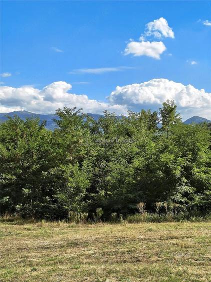 Teren de 2500 mp, în Colonia Tălmaciu