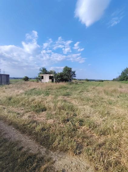Teren de 3200 mp, în Bălăceanca