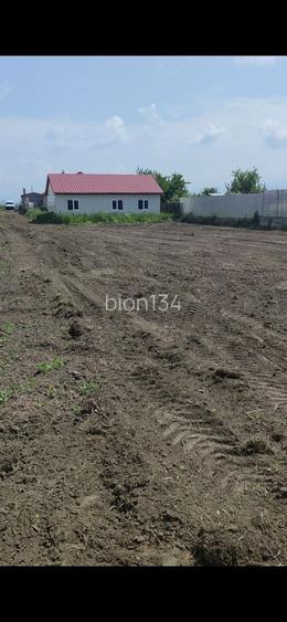 Teren intravilan Halchiu str Feldioarei 1200 mp