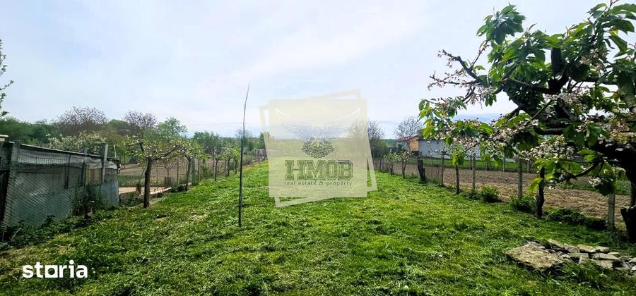 Casă cu 4 camere cu Teren 867 Mp în Turnișor