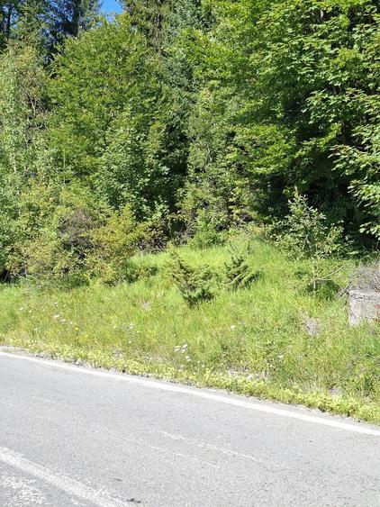 Teren de 1419 mp, în Calea Moroieni
