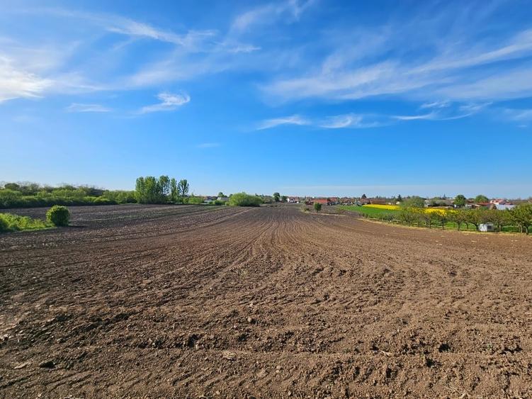 Teren Construcții intravilan de 9378 mp, în Santău