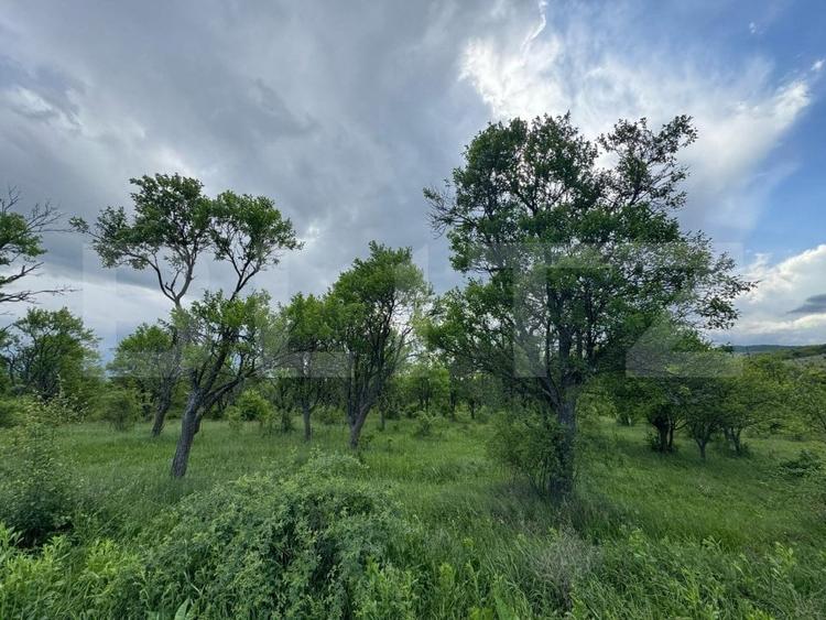 Teren agricol extravilan de 5305 mp, în Periferie