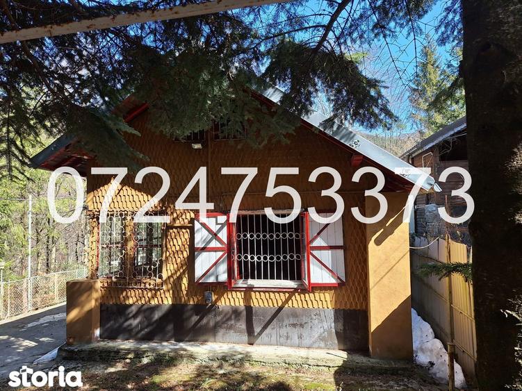Cabana intravilan, teren 527mp, padure ?i rau, Valea Popii, Maneciu - 6