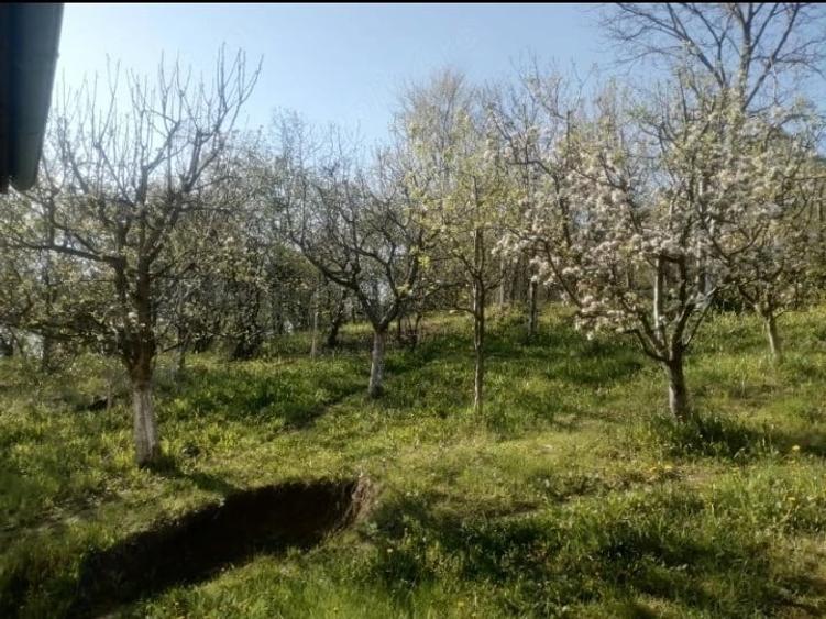 Casă cu 4 camere cu Teren 2134 Mp în Răzvad