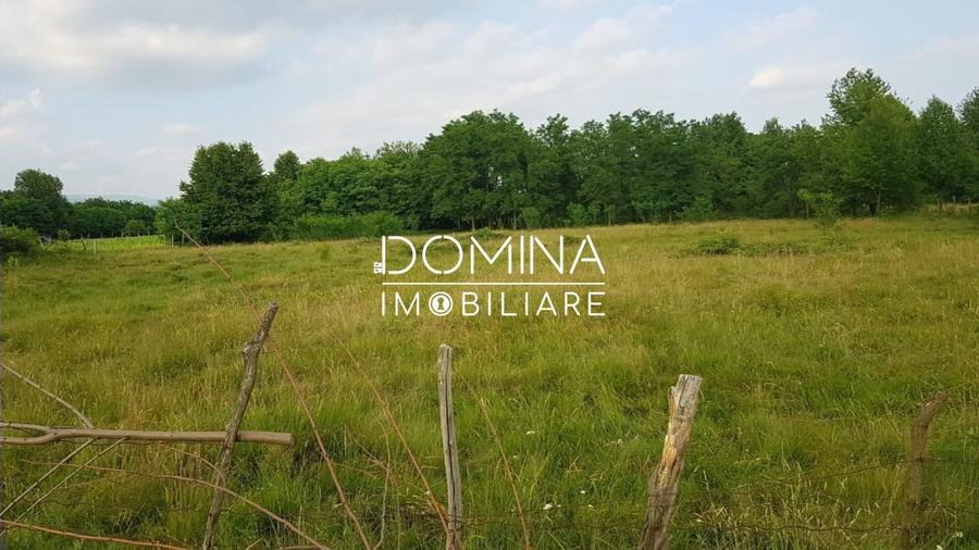 Teren Construcții intravilan de 6843 mp, în Polovragi