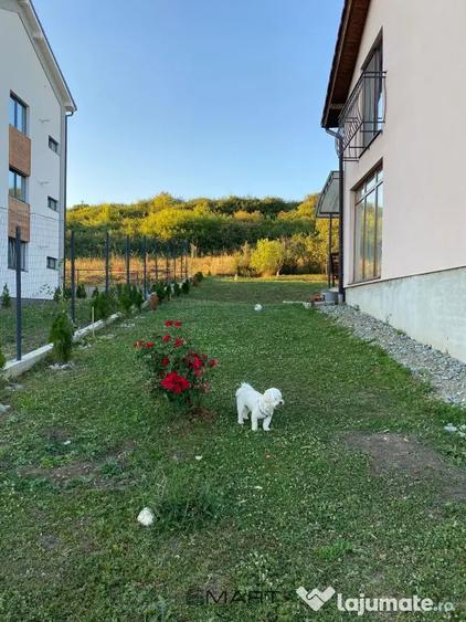 Casă cu 3 camere cu Teren 640 Mp în Cristian