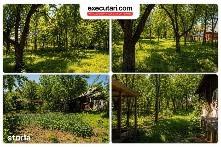 Casă cu 2 camere cu Teren 1445 Mp în Săliște