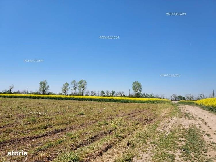 Spațiu comercial, în Berceni