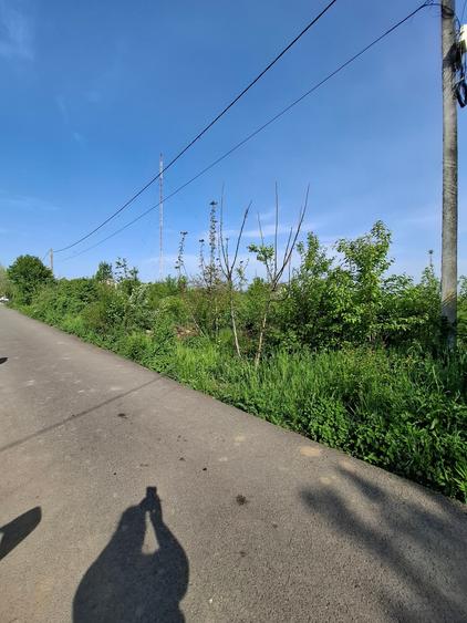 Teren Construcții intravilan de 3300 mp, în Vlădiceasca