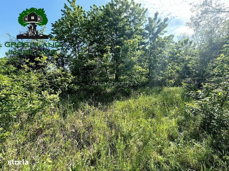 TEREN intravilan BUCIUM - IASI, 1100mp, toate utilitatile