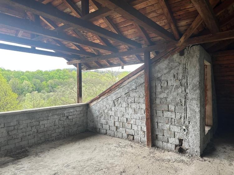 Casă individuală cu 16 camere cu Teren 5000 Mp în Malu Vârtop
