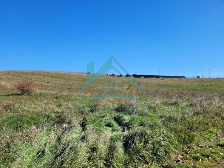 Teren agricol extravilan de 11550 mp, în Mărtinești
