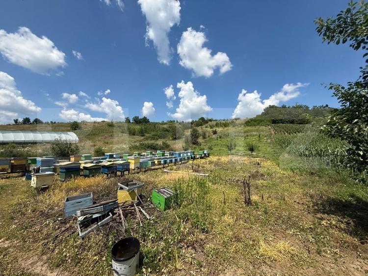 Casă individuală cu 5 camere cu Teren 1000 Mp în Nord