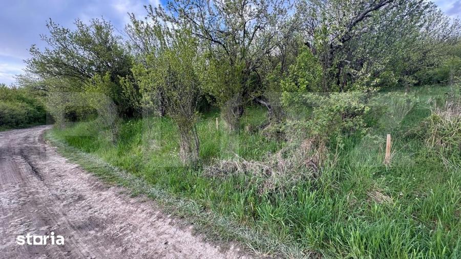 Teren de 2670 mp, în Central