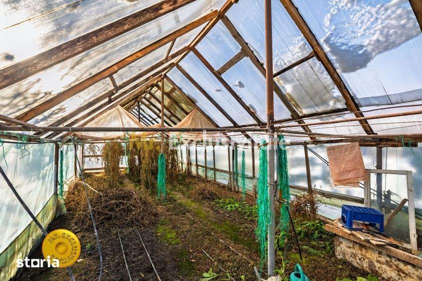 Casă cu 8 camere cu Teren 5232 Mp în Căldăraru