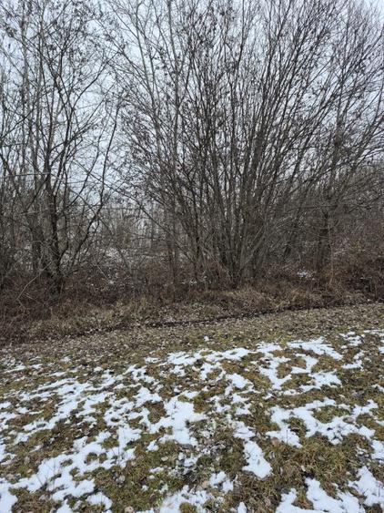 Teren de 2100 mp, în Cărbunari