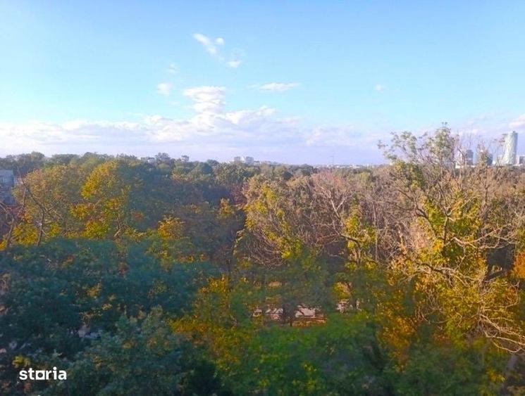 Apartament 3 camere vedere deschisa catre parc - 5