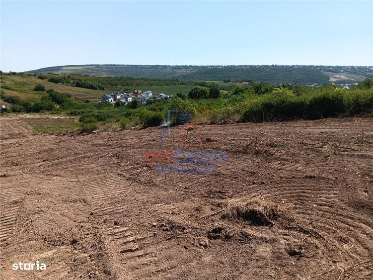 Ocazie! Sorogari TEREN 10000mp intravilan PUZ realizat si toate utili - 2