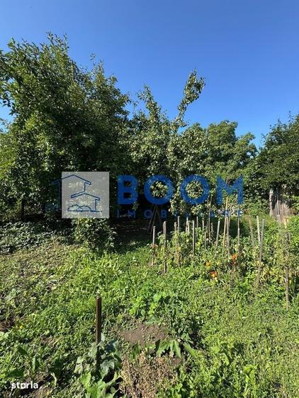 Casă cu 3 camere în Jiblea Nouă