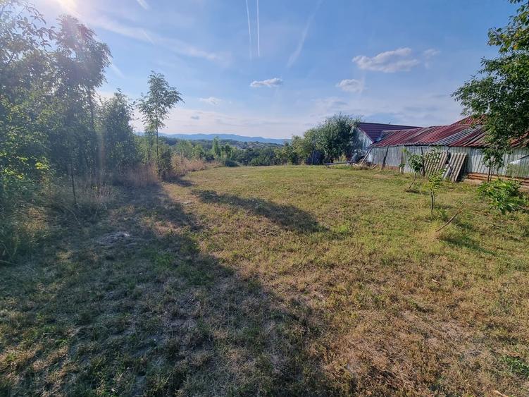 Teren Construcții de 728 mp, în Oarda