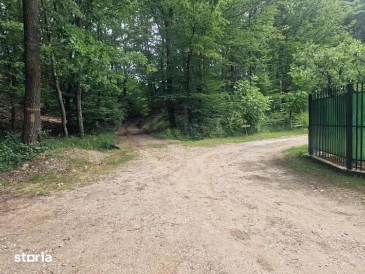 Teren de 12421 mp, în Găvana