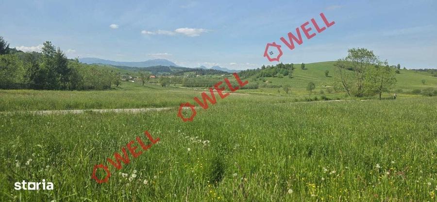 Spațiu comercial, în Barcani