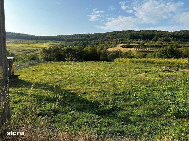 Teren de 3100 mp, în Jichișu de Jos