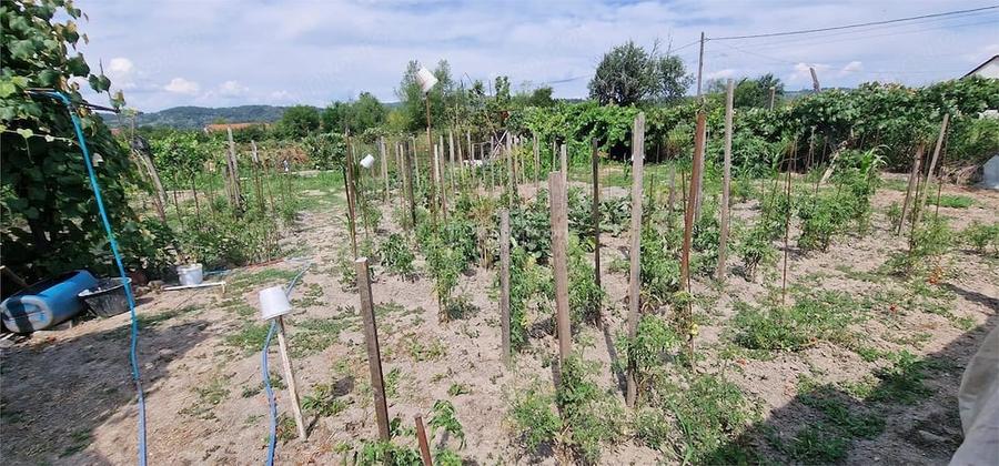 Casă cu Teren 3340 Mp în Brebu