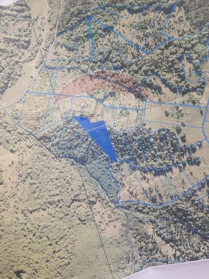 Teren agricol extravilan de 14250 mp, în Nord-Est